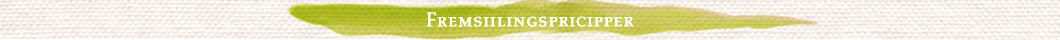 Fremsiilingspricipper